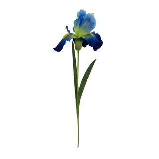 Blue Bearded Iris Stem by Ashland® | Michaels Stores