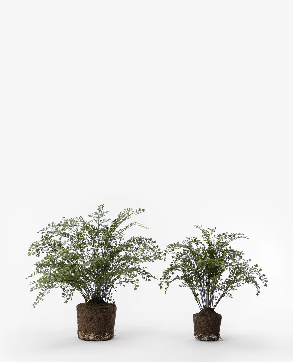 Faux Maiden Hair Drop-In | McGee & Co.