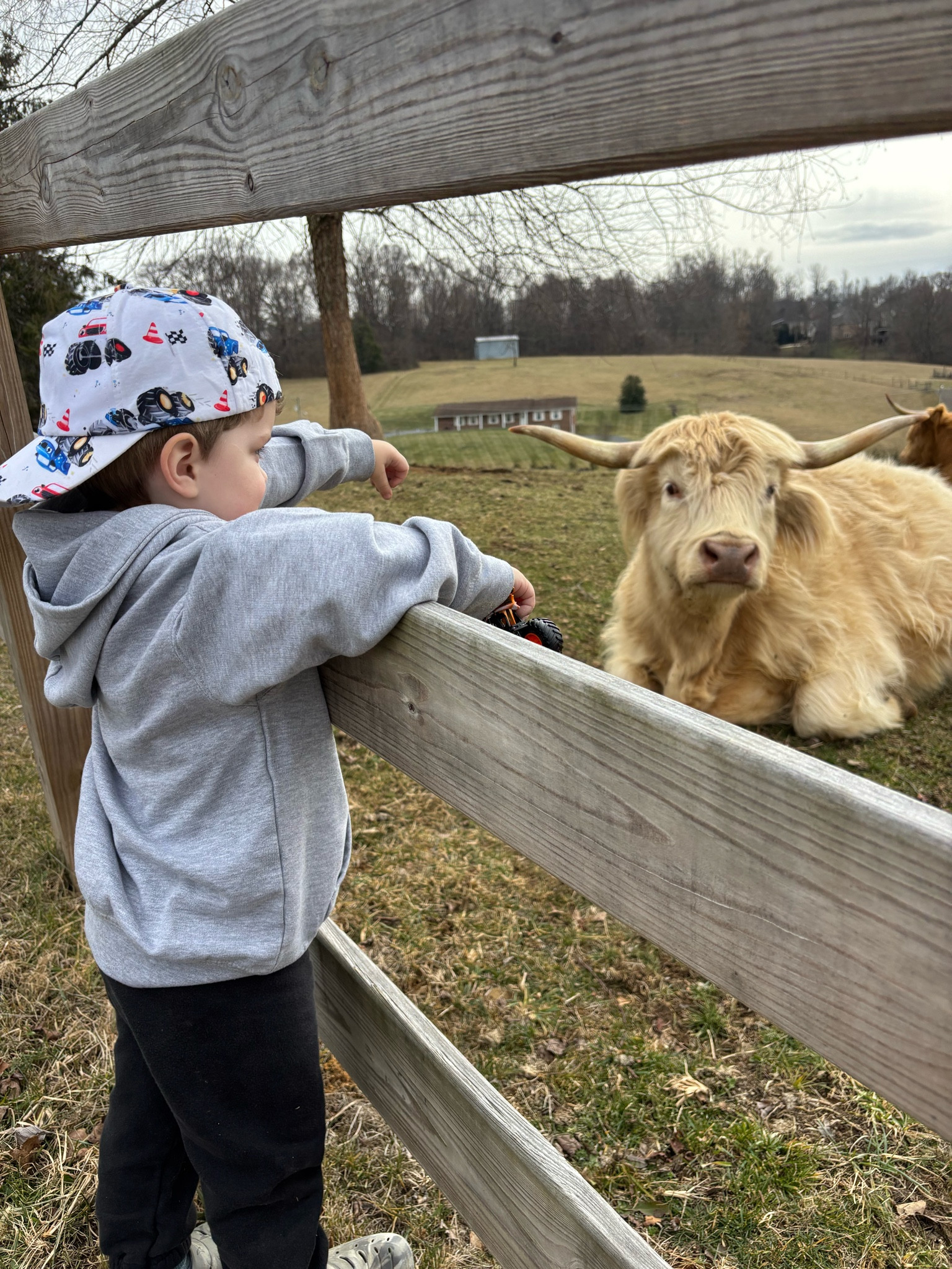 Still waiting on babies!! Boys play fit for outside! We have a warmer day today and we’re so so grateful!

#LTKWatchNow #LTKWorkwear #LTKKids