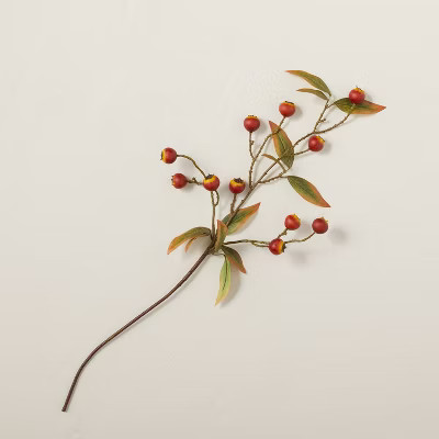 25" Faux Pomegranate Plant Stem - Hearth & Hand™ with Magnolia | Target