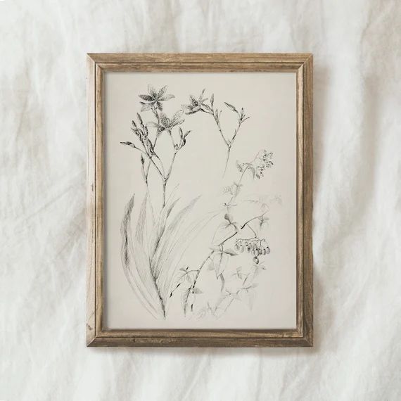 Botanical minimalist sketch print, Wildflower sketch, Vintage farm sketch, Botanical farmhouse sk... | Etsy (US)