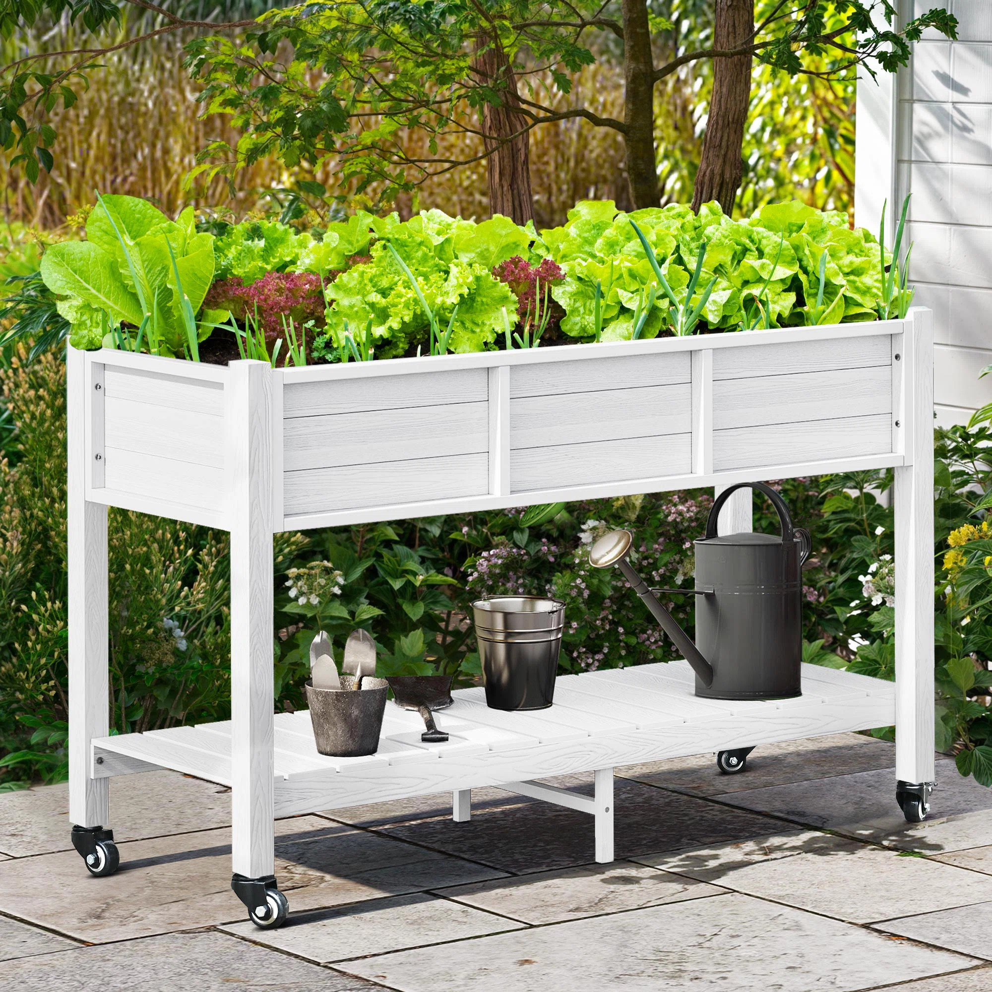 Elevated Planter | Wayfair North America