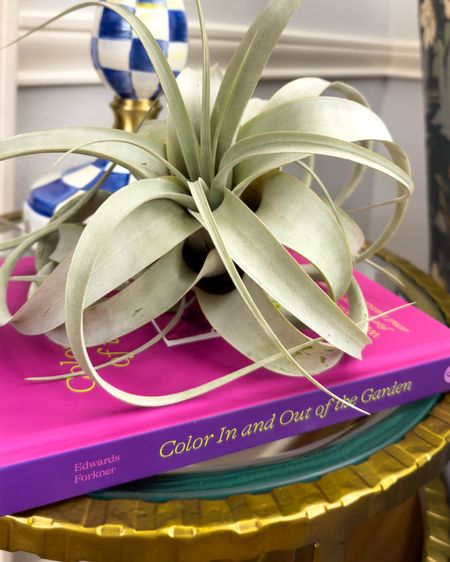 Coffee table decor, air plant, coffee table styling

#LTKfindsunder50 #LTKhome