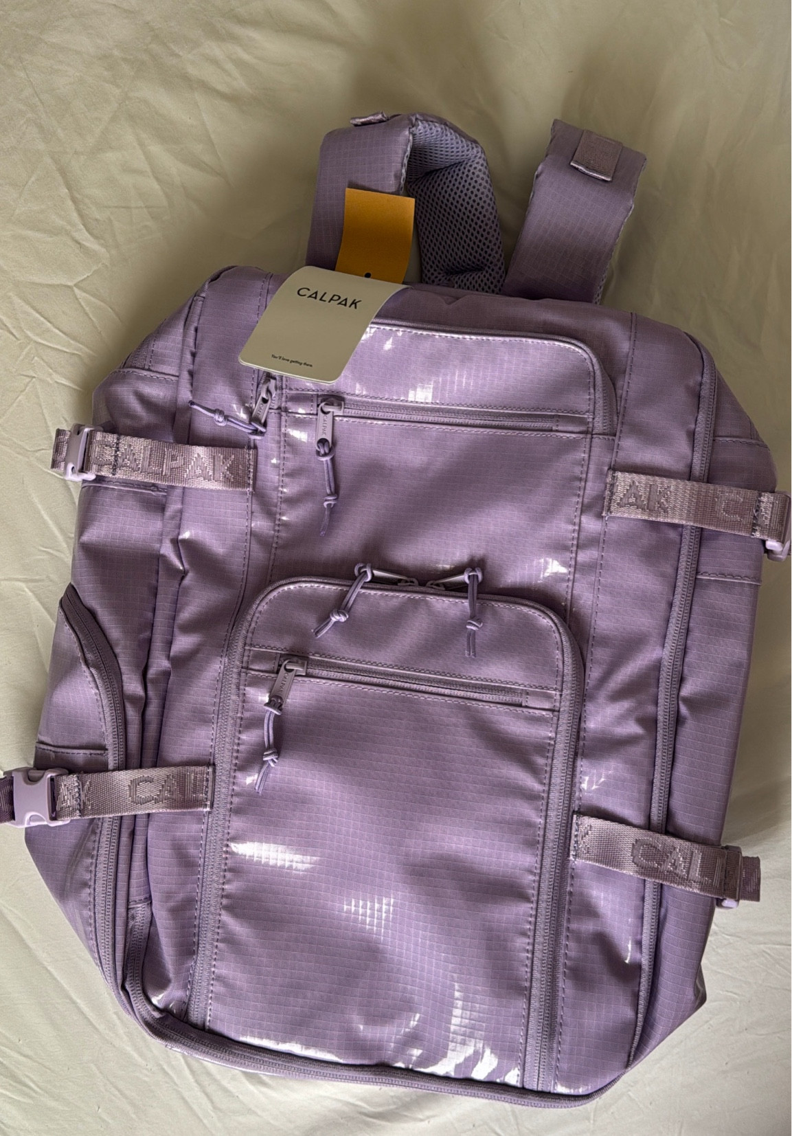 Newest travel bag!! 

Calpak backpack 


#LTKBacktoSchool #LTKSaleAlert #LTKTravel