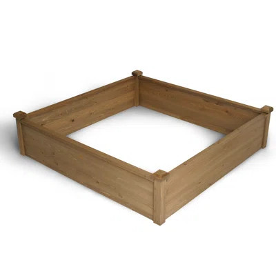4 ft x 4 ft Wood Raised Garden Bed | Wayfair North America