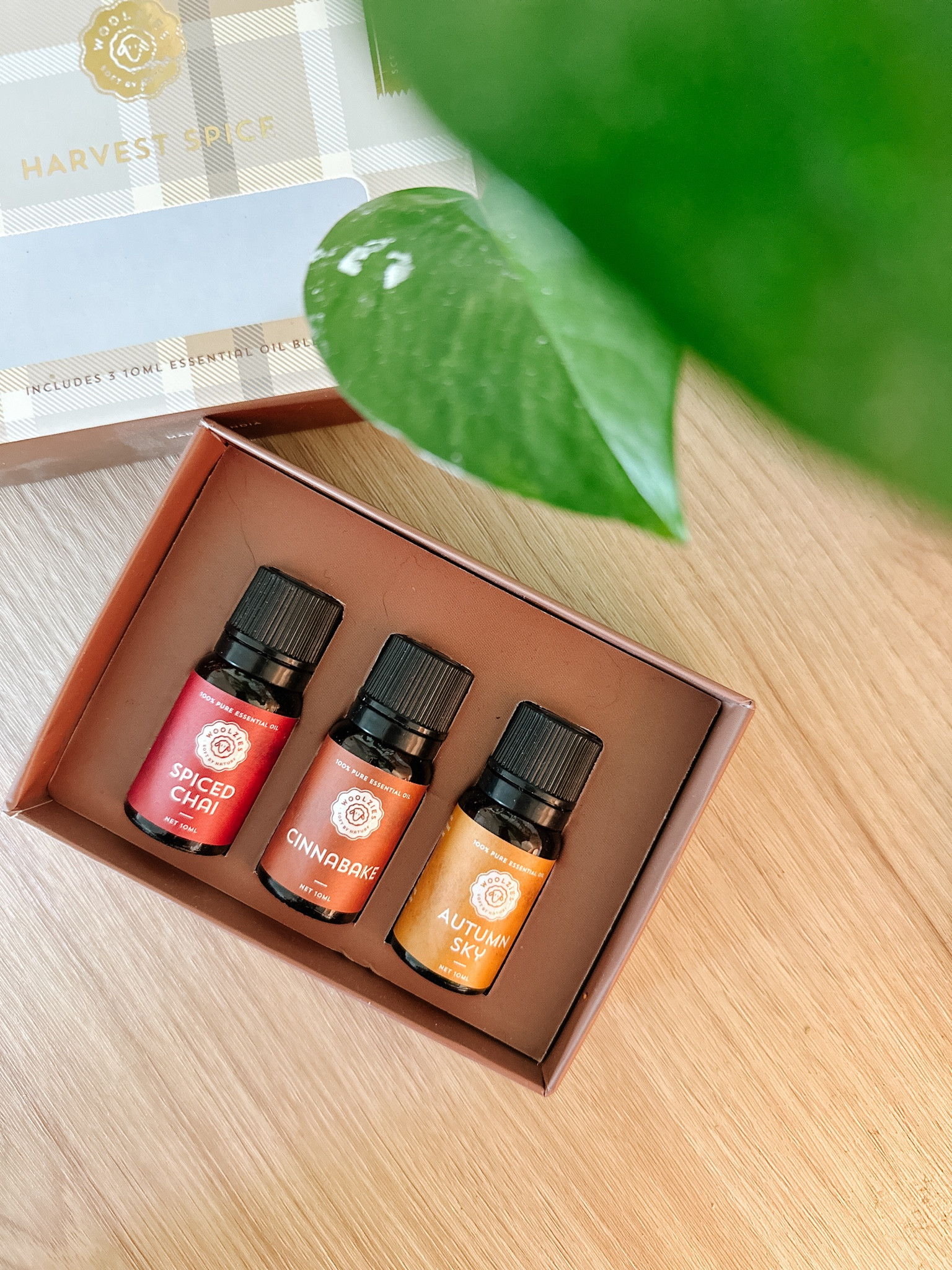 Fall essential oils 

#LTKFindsUnder50 #LTKHome #LTKSeasonal