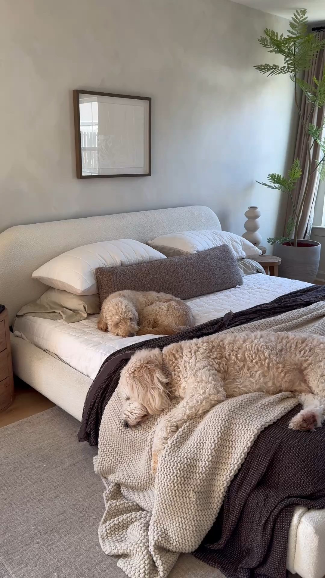 My entire bedscape is from Target!!! Target is one of my favorite places to shop for bedding. So many different options that are affordable and beautiful!

Bedding, target finds, target bedding, organic modern bedroom, on sale, bedscape. 

 

#LTKHome #LTKFindsUnder50 #LTKStyleTip