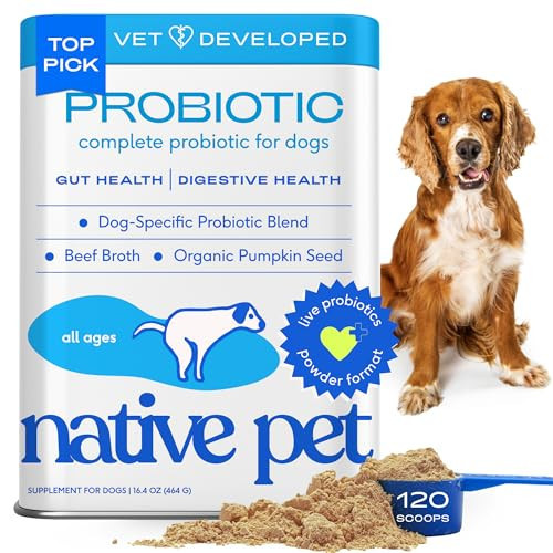 Native Pet Probiotics for Dogs - Dog Probiotics Powder for Digestive Health, Gut Support, & Immune Boost – Vet-Formulated Powder for Maximum Potency with Digestive Enzymes & Prebiotics - 120 Scoops | Amazon (US)