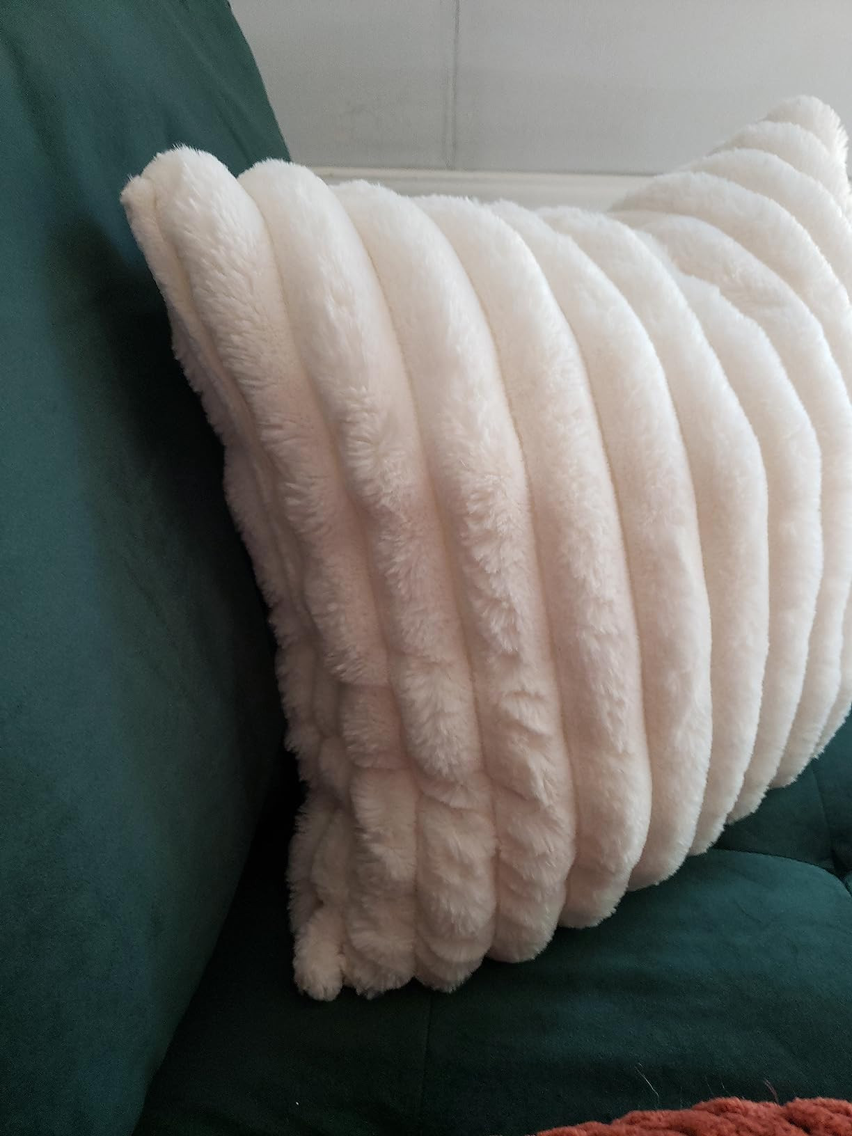 JOJUSIS Pack of 2 Faux Fur Plush Decorative Throw Pillow Covers Couch Cushion Case Soft Fluffy Pi... | Amazon (US)