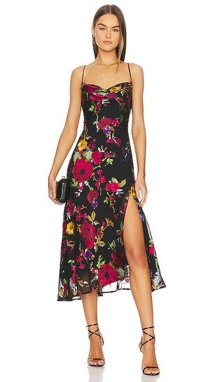 Gaia Dress in Black & Red Floral | Revolve Clothing (Global)
