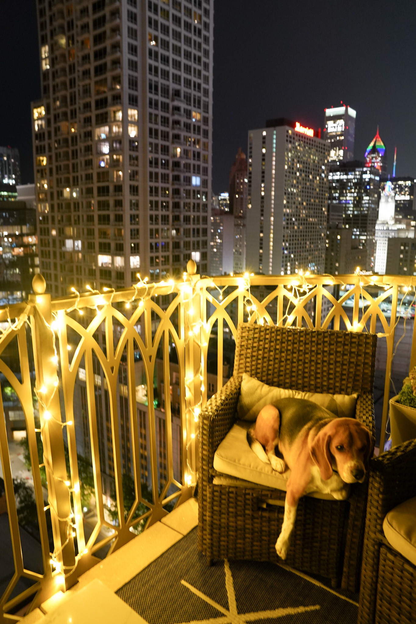 Add a warm and magical glow to any space ✨🌟 with these fairy lights with remote control! Designed to create a cozy atmosphere with adjustable lighting modes and easy remote operation, they’re perfect for bedrooms, dorms, parties, patios, or holiday decorating 💖🏡. Whether you're setting the mood for a relaxing evening or adding charm to your décor, these lights make every space feel a little more special 👀✨. Trust me, this is one home upgrade you'll love all year round 💕

#fairylights #homedecor #cozyhome #roomdecor #stringlights #homeinspo #bedroomdecor #ambientlighting #cozyvibes #homestyle #interiordesign #decorideas #roommakeover #homeessentials #modernliving #aestheticdecor #lifestyleupgrade #ltkhome #ltkfinds #musthave #warmandcozy #decorinspo #lightupyourspace #homedetails 

 