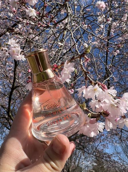 Good chemistry affordable perfume available at target! This is the queen bee one. It’s floral and sweet 😍

#LTKstyletip #LTKbeauty #LTKfindsunder50
