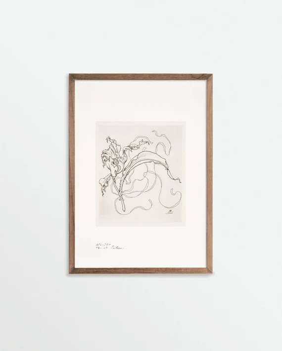 French Porcelain Flower Sketch Art Print  Tulipe  - Etsy | Etsy (US)