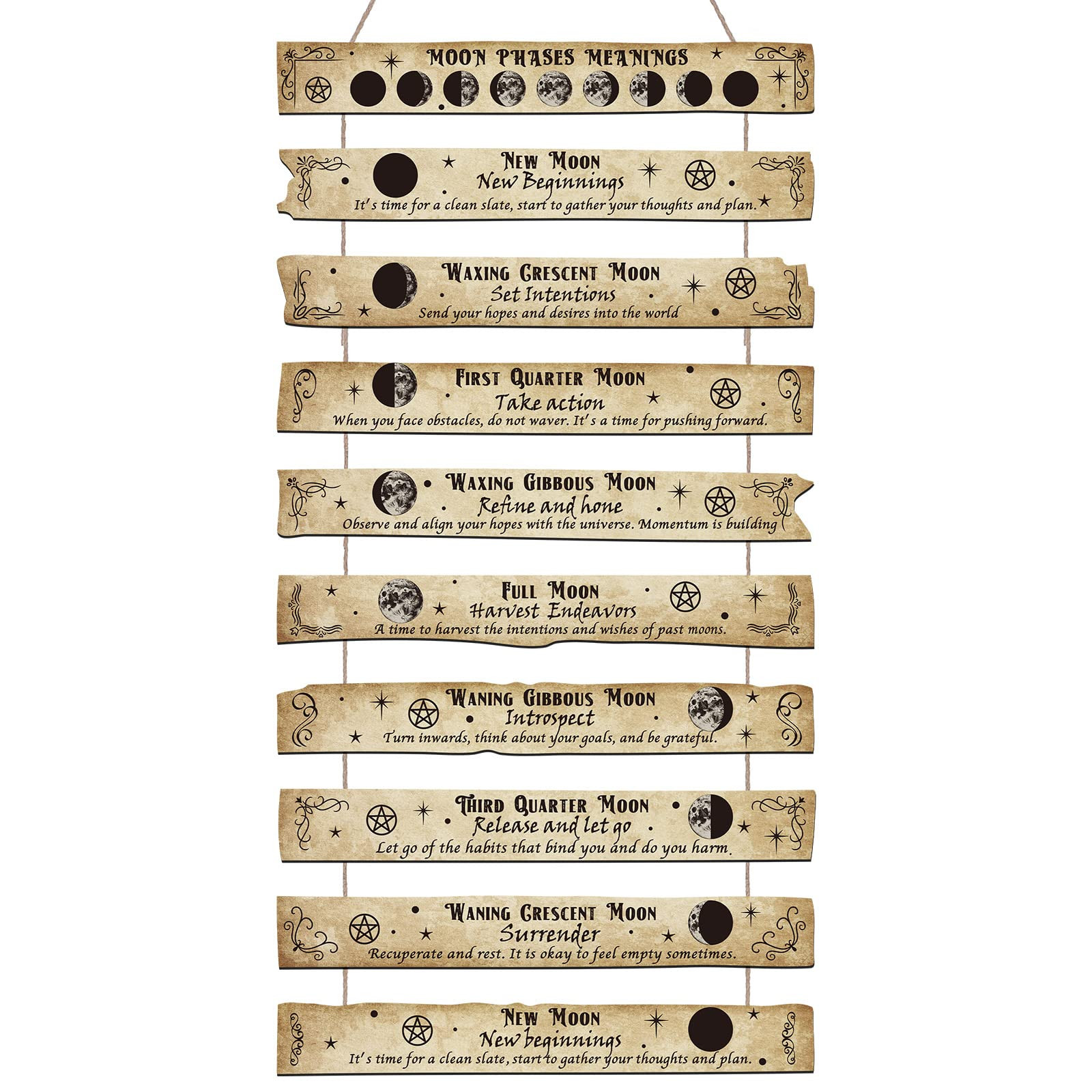 Tatuo Witchcraft Knowledge Sign Moon Decor Halloween Witch Decor Kitchen Witchery Sign Wizards Si... | Amazon (US)