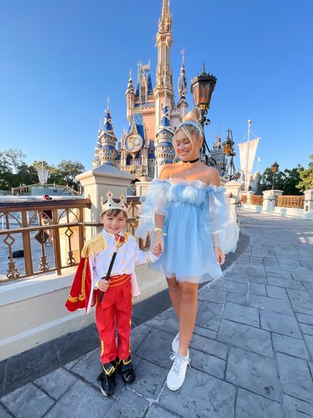 Disney world costumes 
Cinderella Halloween costume 
Walt Disney world 
Toddler Halloween costumes 
Kids Halloween costumes 

#LTKkids #LTKHalloween #LTKfamily