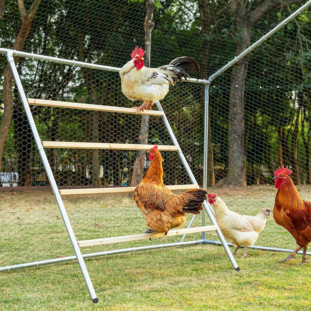 PETSFIT Square Chicken Roosting Perch, Perfect for Backyard Poultry, Chickens Perch for Coop, Eas... | Amazon (US)