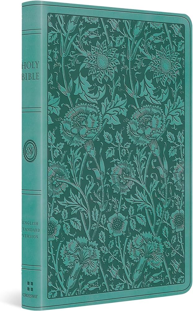 ESV Premium Gift Bible (TruTone, Teal, Floral Design) | Amazon (US)