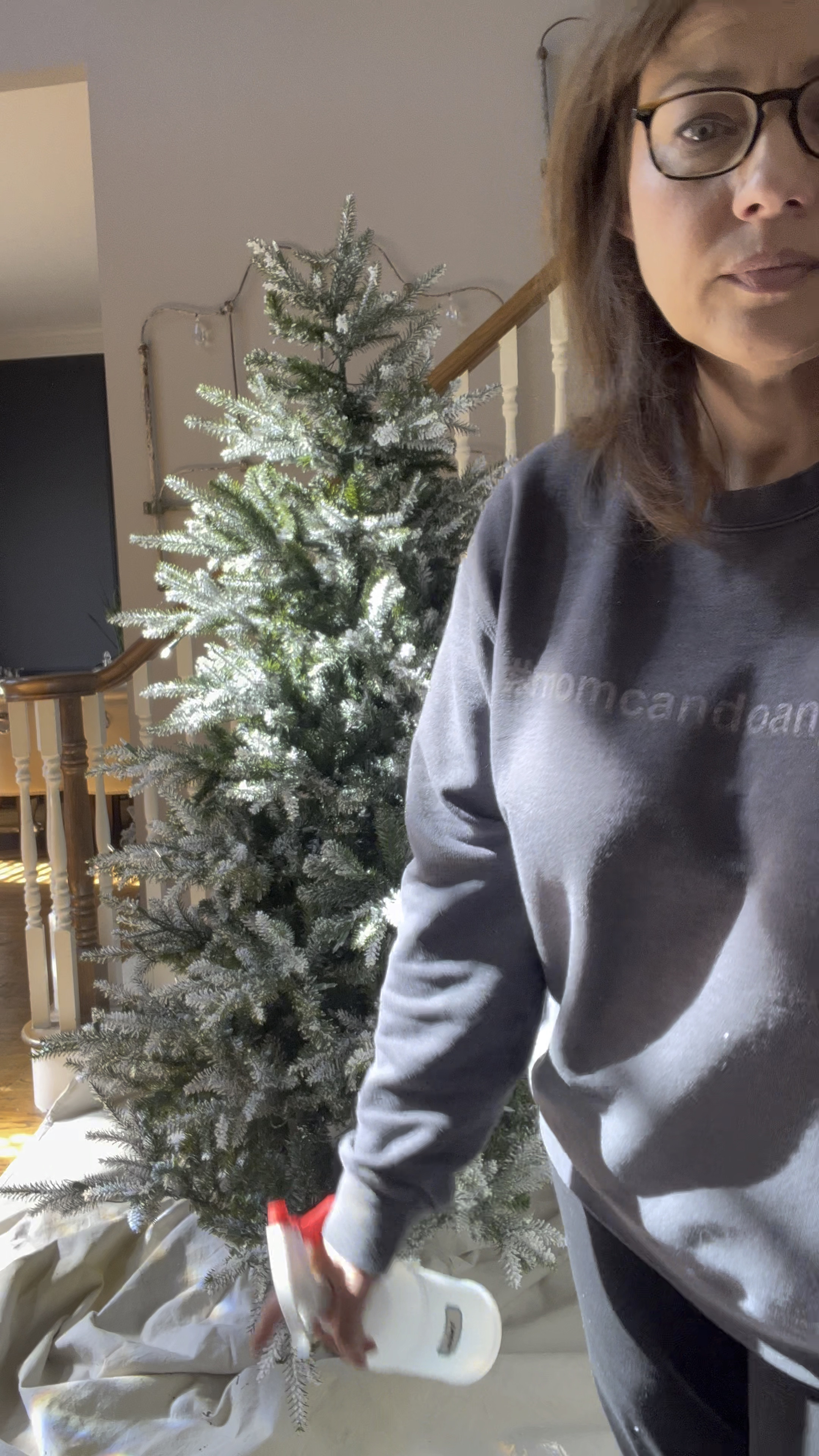 More flock talk about how to protect your floors when you are flocking a Christmas tree indoors.

#LTKHoliday #LTKhome #LTKSeasonal