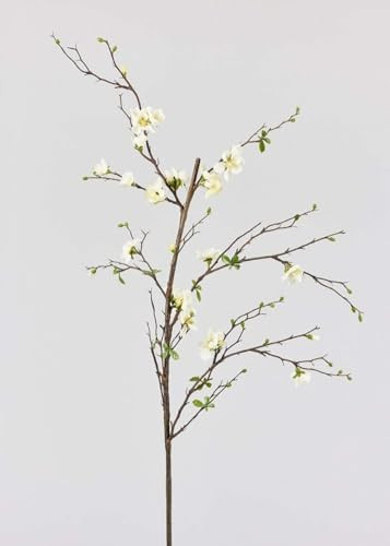 Afloral Artificial Flowers | Cream Artificial Blossom Branch - 57" | Amazon (US)