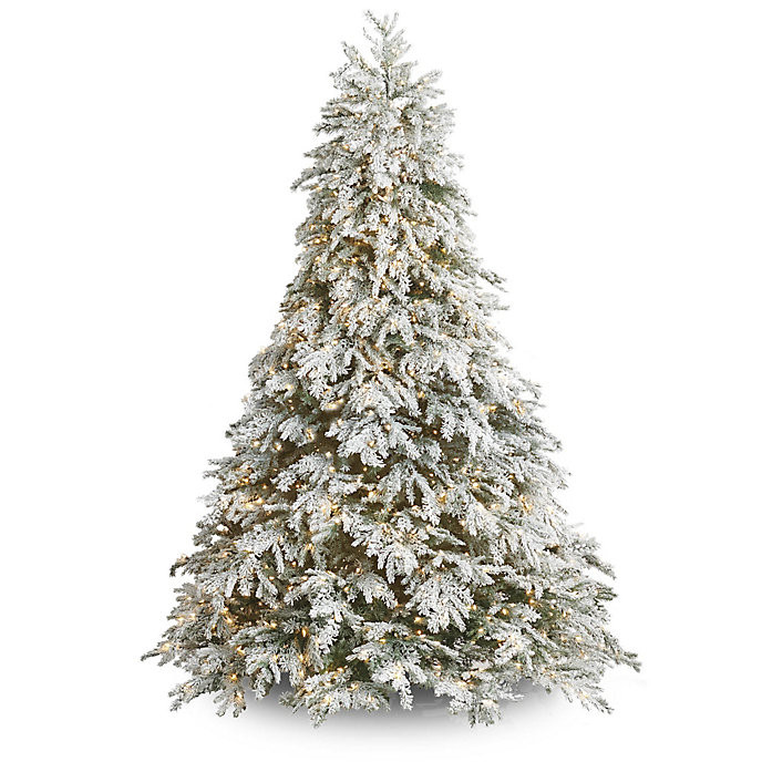 Frosted Canterbury Fir Tree | Frontgate | Frontgate