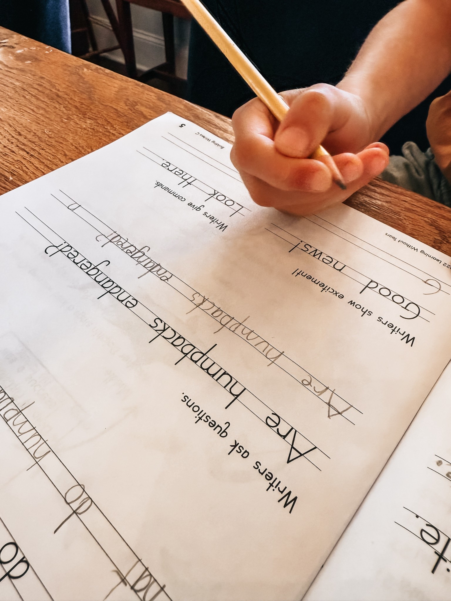 Writing without tears. A great homeschool resource! 