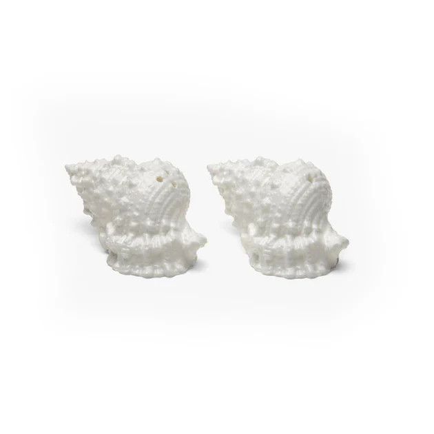 Conch Shell Salt & Pepper Shakers | Cailini Coastal