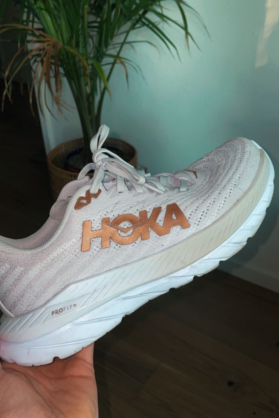 Favorite Running Shoe for half marathon 
HOKA Mach 5

#LTKfitness #LTKshoecrush #LTKSeasonal