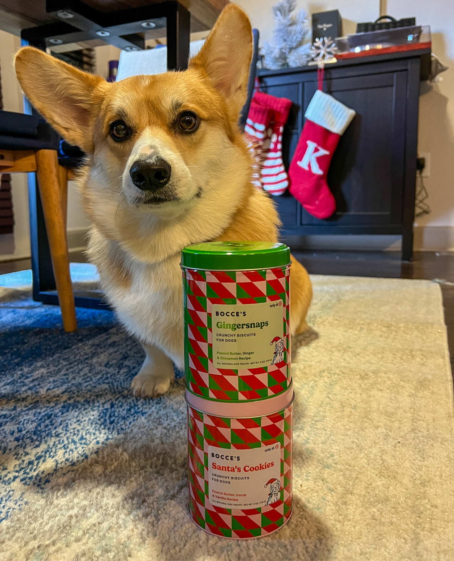The cutest Christmas dog treat tins at Target! 

#LTKGiftGuide #LTKHoliday #LTKSeasonal