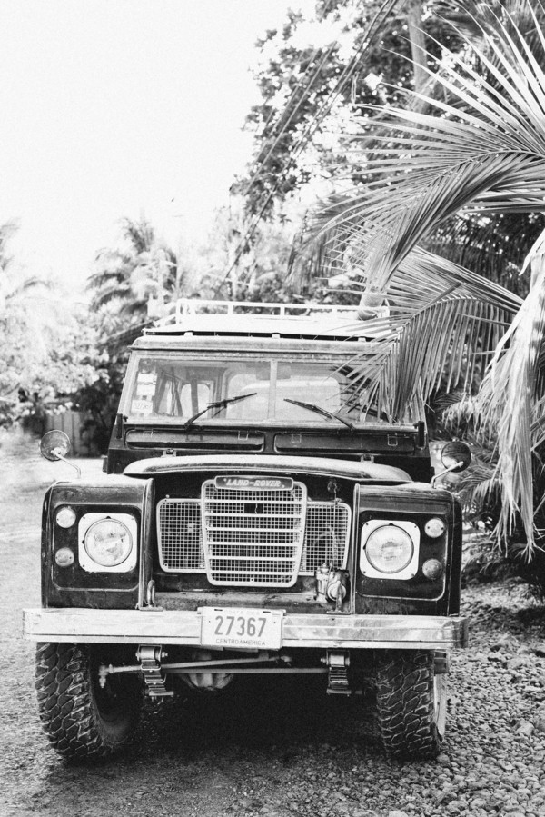 Rover | Artfully Walls