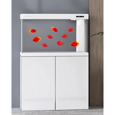 Simple and Modern Home-Style Aquariums Tank | Wayfair North America