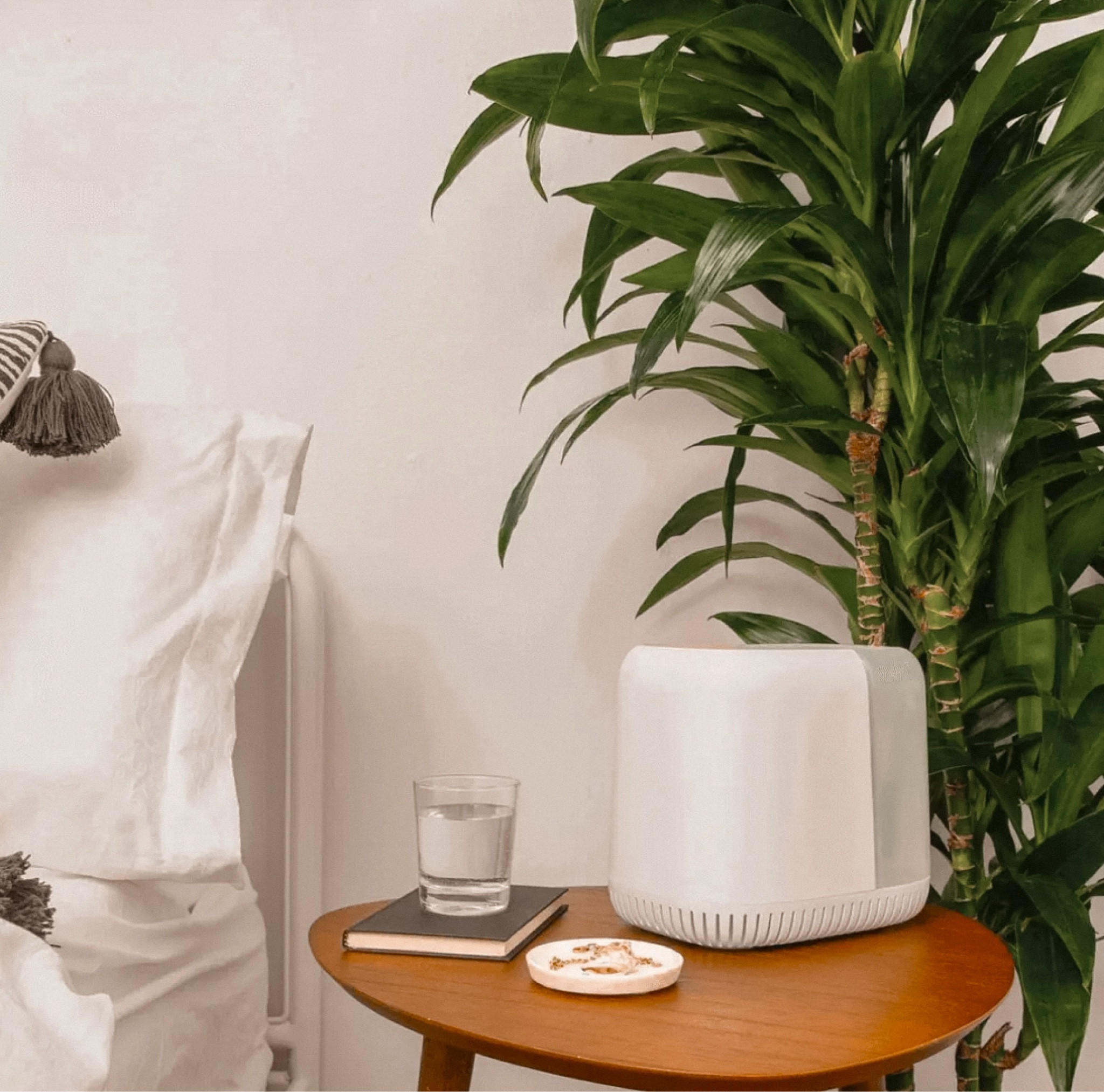 The best mold resistant humidifier and dishwasher safe✨ 

#LTKKids #LTKFamily #LTKHome