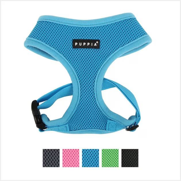 Puppia Soft Dog Harness, Sky Blue, Small | Chewy.com