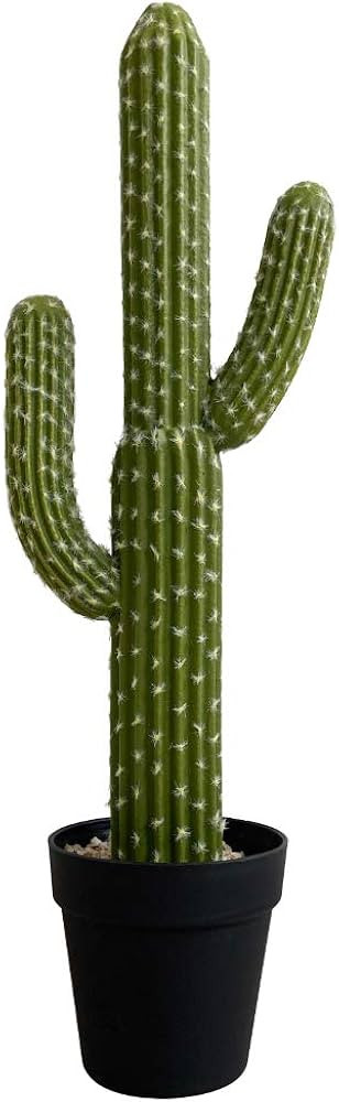 momoplant Artificial Cactus Succulent Plant, 24 Inch Faux Fake Desert Cacti Plant with Black Plan... | Amazon (US)