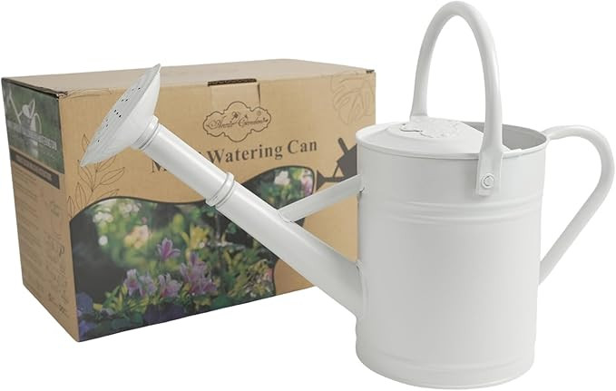 1 Gallon Metal Watering Can for Indoor Plants Outdoor Plants, Large Water Can, Garden Water Can f... | Amazon (US)