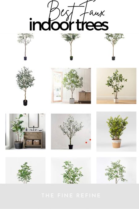 The Most Natural looking Indoor Trees #competition #target #targetfinds #targetstyle #potterybarn #amazonfinds

#LTKstyletip #LTKFind #LTKhome