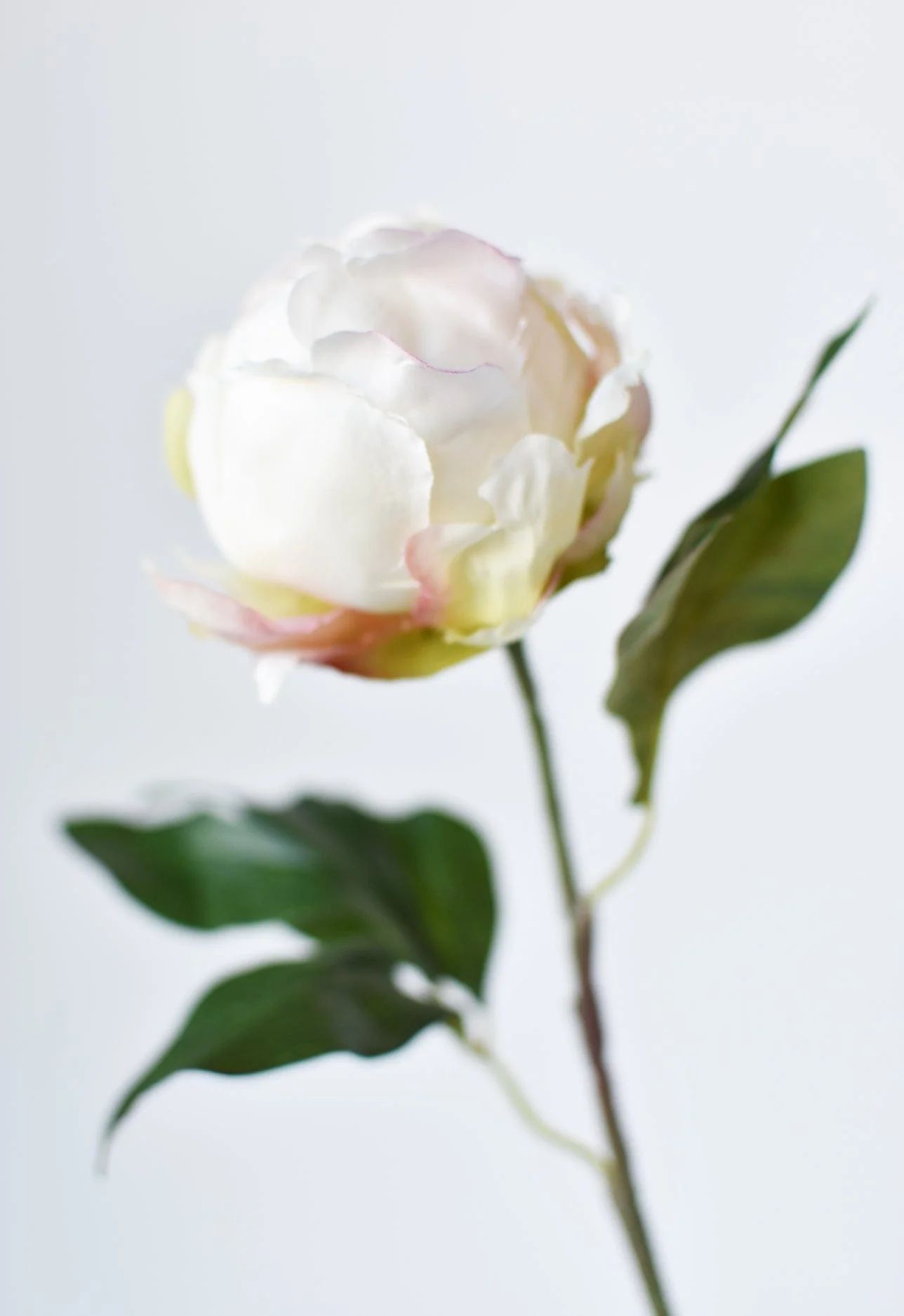 18" Faux Peony Bud Stem White | HouseFloral