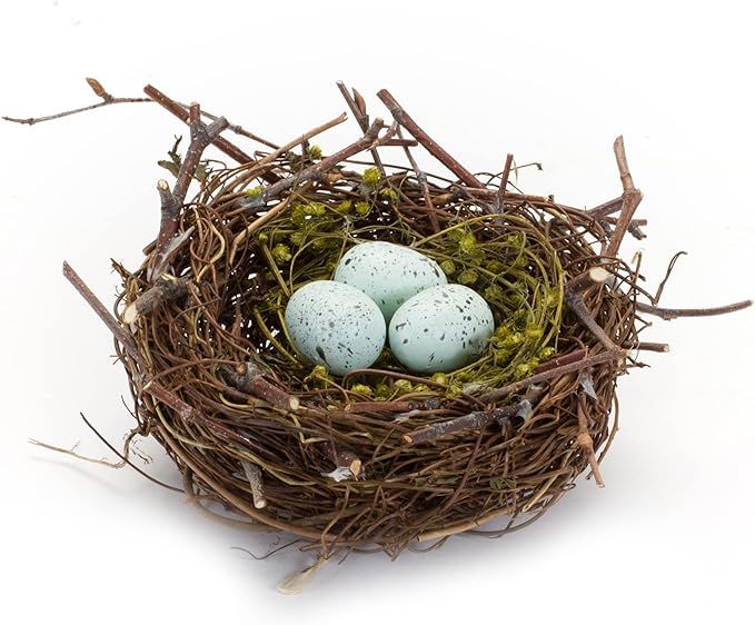 The Bridge Collection Faux Decorative Bird's Egg Nest - Cute Bird Nest with Eggs Tabletop Decorat... | Amazon (US)