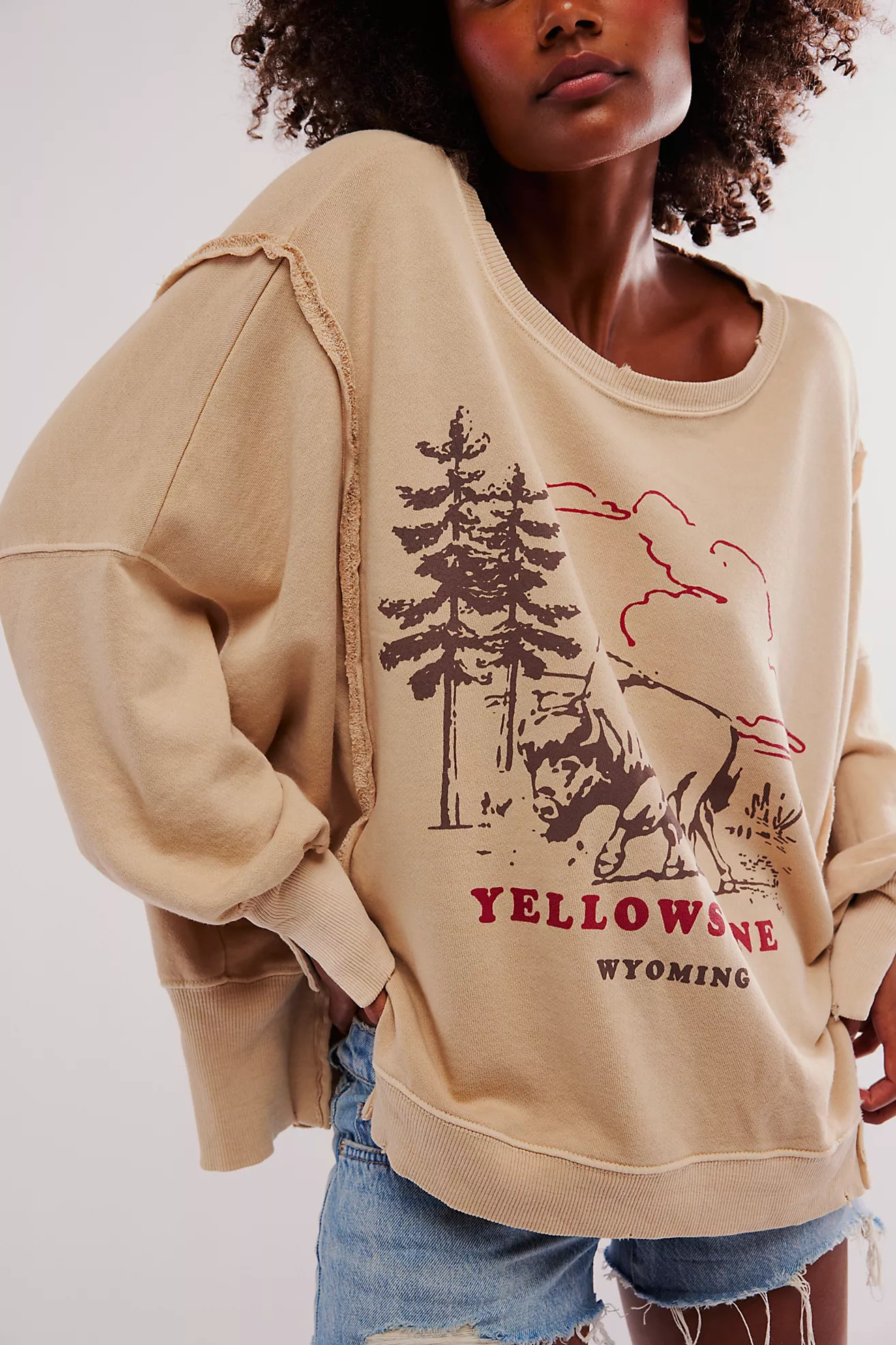 We The Free Graphic Camden Pullover | Free People (Global - UK&FR Excluded)