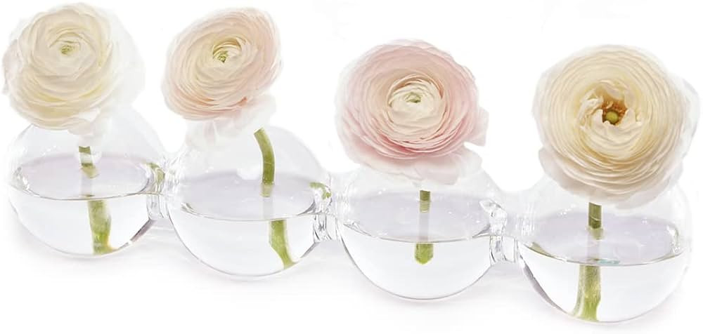 CHIVE ‘Caterpillar’ Bubble Bud Vase for Centerpieces — 4 Hole Multi Chamber Clear Glass Flower Vase for Short Flowers — Large, 13” Long | Amazon (US)