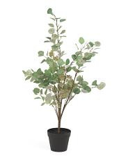 40in Covered Porch Outdoor Safe Eucalyptus Tree | TJ Maxx
