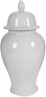 A&B Home Ginger Jar, 9.8 by 20-Inch | Amazon (US)