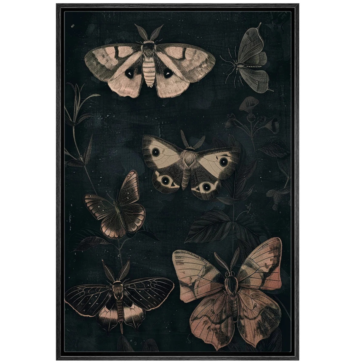 Animals " Moth Butterfly Moody Gothic Animals Dark Floral Botanical Artwork Paintings " | Wayfair North America