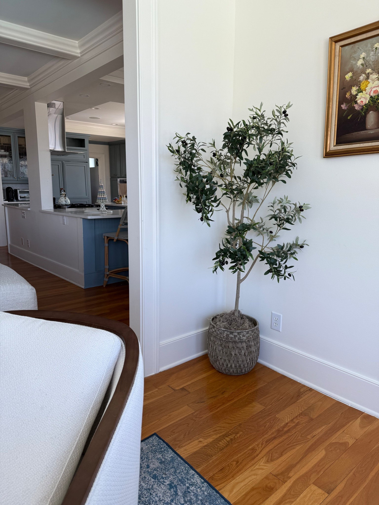 Beautiful faux olive tree

#LTKFindsUnder50 #LTKHome #LTKFamily