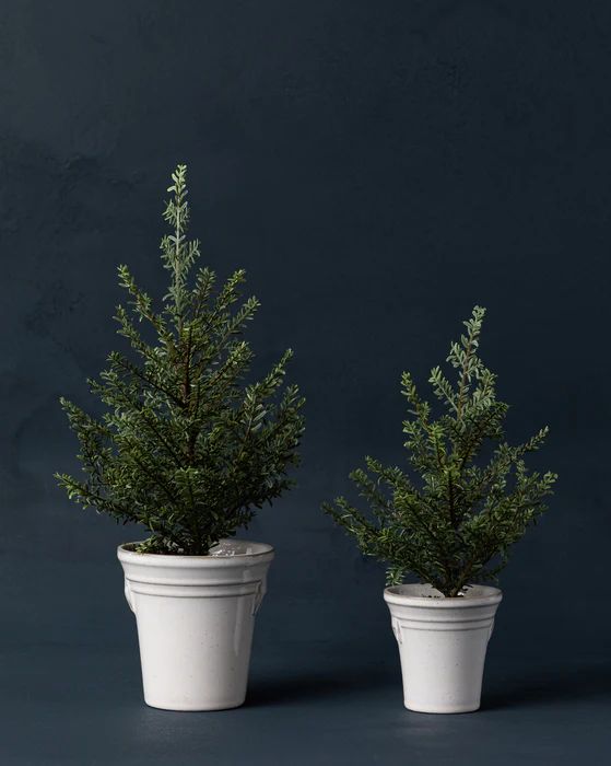 Faux Cedar Tabletop Tree | McGee & Co.