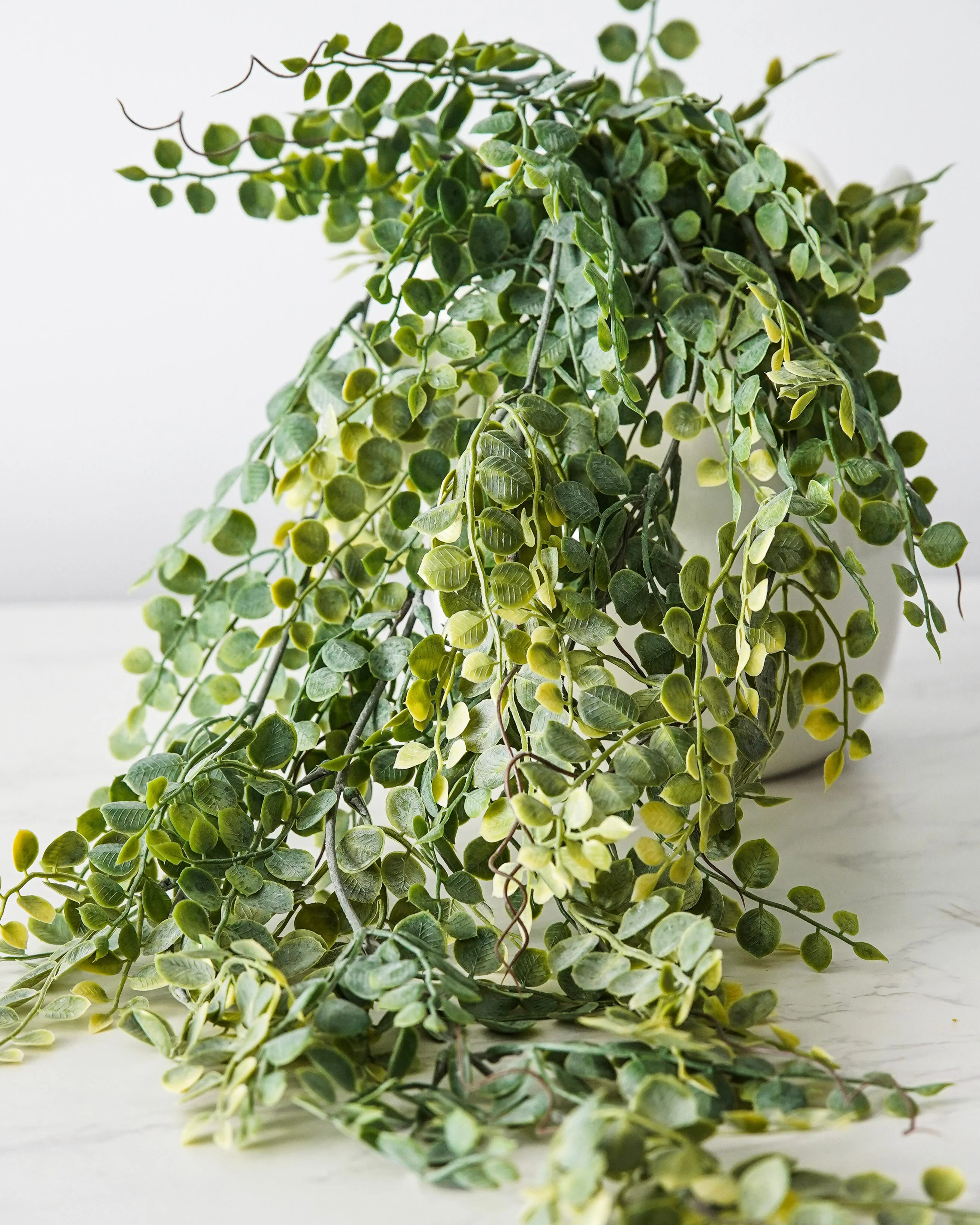 Meadow Eucalyptus Hanging Stem | MJHome