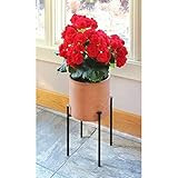 Achla Designs FB-64 Plant Stand, Black | Amazon (US)