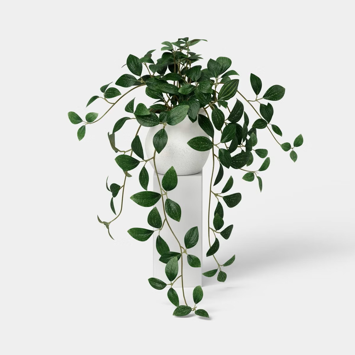 6" Artificial Dark Trailing Leaf Plant - Threshold™ 

 #LTKHome