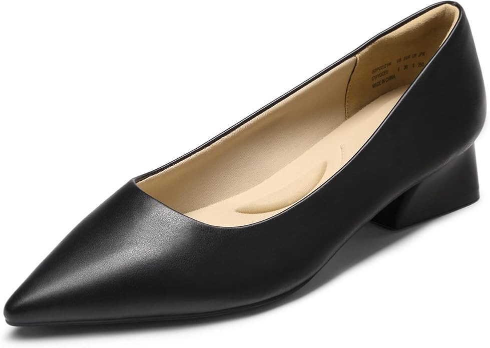 DREAM PAIRS Women's Chunky Heels Closed Toe Low Block Work Shoes Pointed Toe Dress Comfortable We... | Amazon (US)