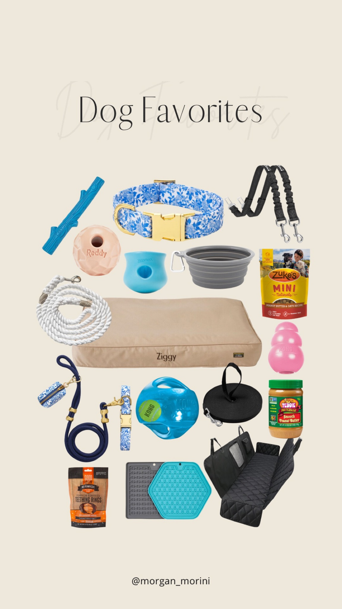 Dog Favorites🐾 So many great finds this year! 

#LTKfindsunder50 #LTKfamily #LTKfindsunder100