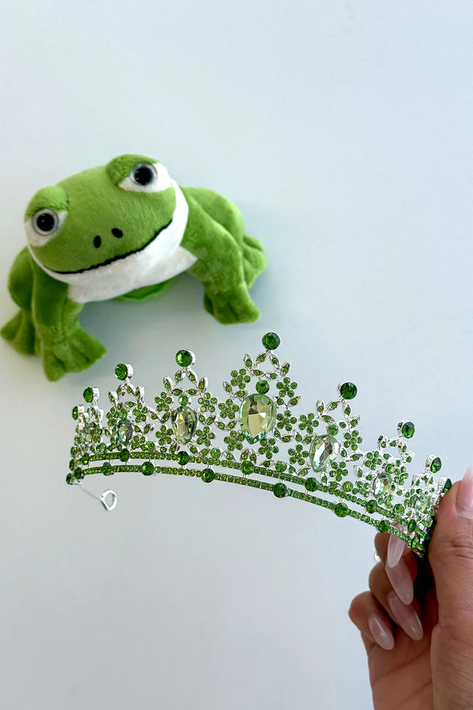 Kiss the Frog 2 Piece Accessory Kit | Thats So Fetch (US)